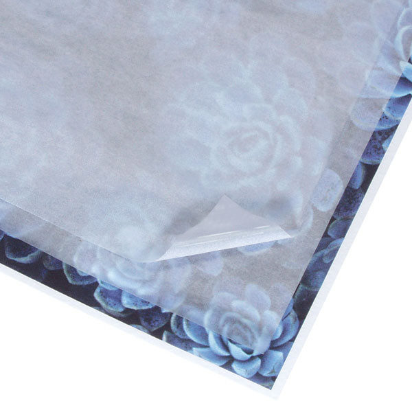 Papel glassine - Imagem 3