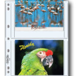 Porta fotos 12,5X17,5cm