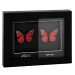 Vidro Artglass AR70