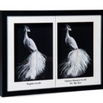 Optium Museum Acrylic®