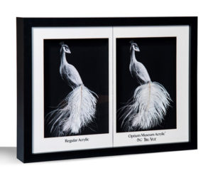 Optium Museum Acrylic®