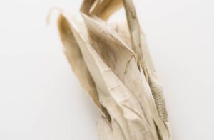 Kozo Thick White 110g/m² - Imagem 6