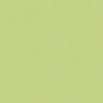 Passepartout Berkshire Pistachio B361
