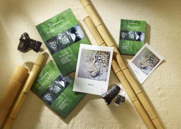 Bamboo - Imagem 4