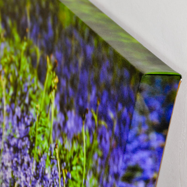Canvas - Imagem 2